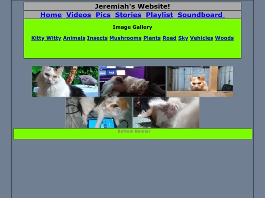pics_html/kittywitty screenshot
