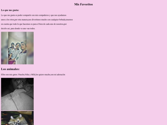 mis favoritos/misfavoritos screenshot
