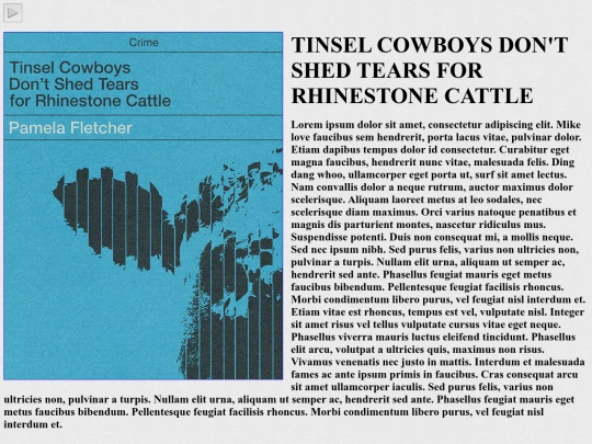 charta/cowboys screenshot
