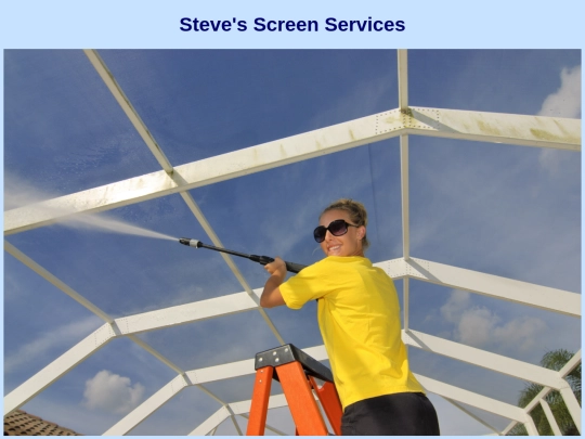 screenservices screenshot