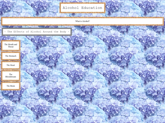 alcohol_education screenshot