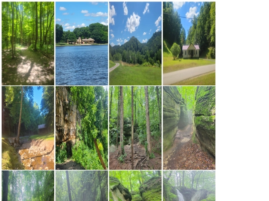 wildlife photography/wildlife screenshot