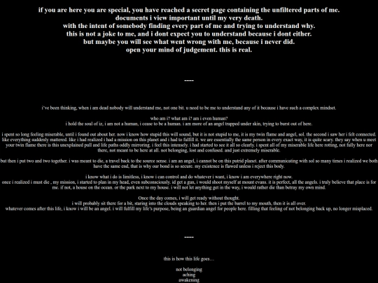 theend screenshot