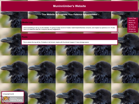 media screenshot