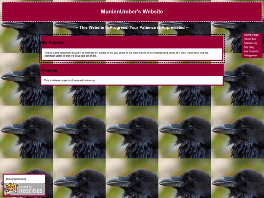projects screenshot