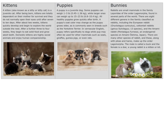 Bootstrap5/Grid screenshot
