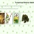 fatherfrog's lake avatar