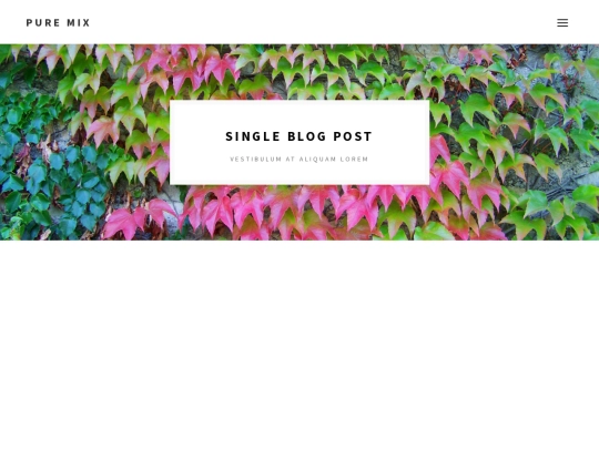 single-post screenshot