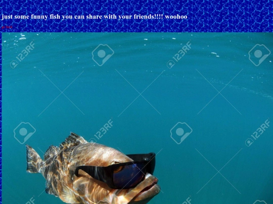 funnyfish screenshot