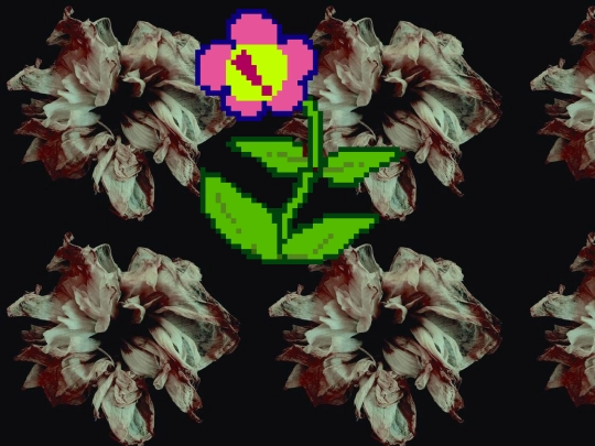 SECRETFLOWER screenshot