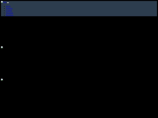 index4 screenshot