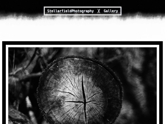 individualimagepages/htmlgenoutput/fineart099.jpg screenshot