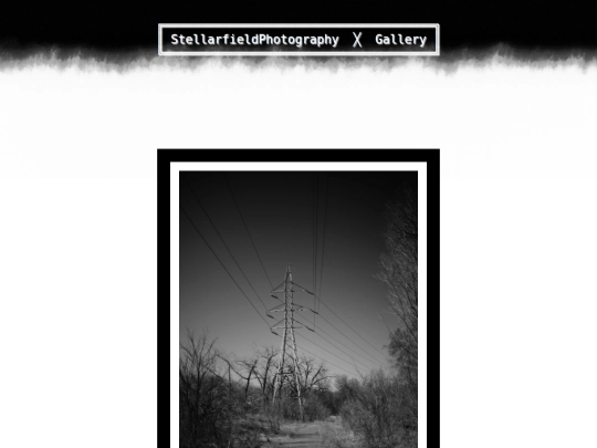 individualimagepages/htmlgenoutput/fineart100.jpg screenshot
