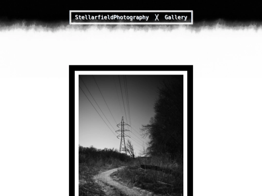 individualimagepages/htmlgenoutput/fineart102.jpg screenshot