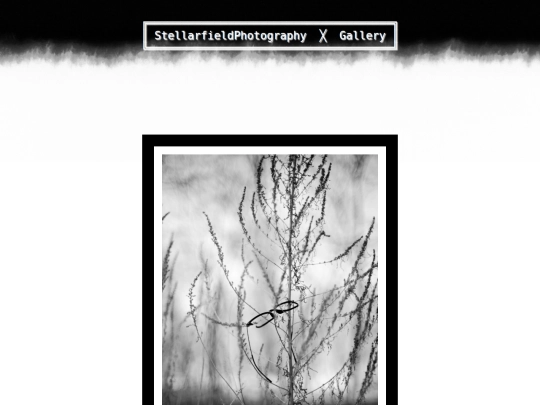 individualimagepages/htmlgenoutput/fineart103.jpg screenshot