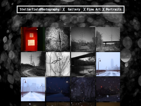 maingallery-fineart screenshot