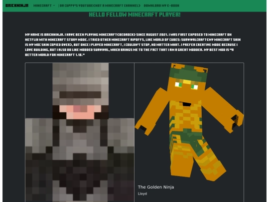 brickninja screenshot
