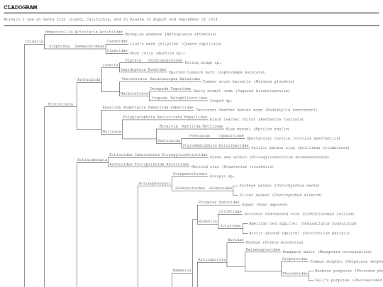 misc/cladograms/alaska-santacruz screenshot