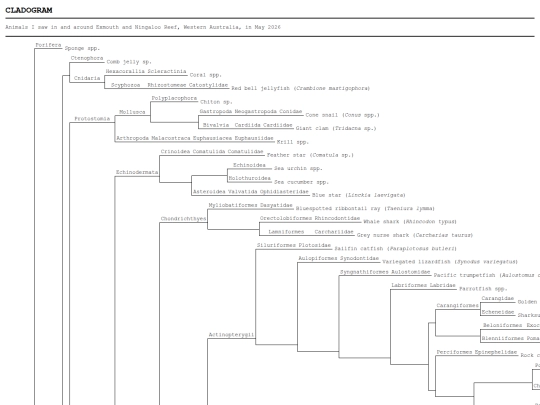 misc/cladograms/ningaloo screenshot
