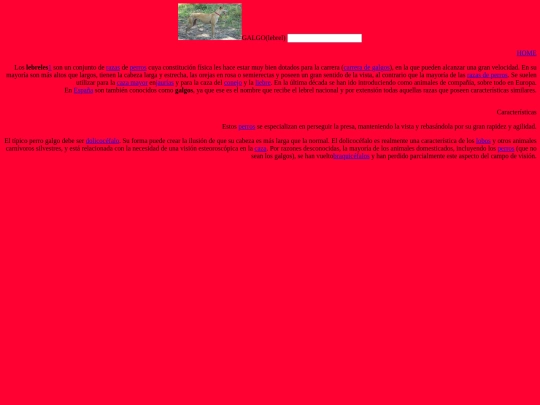 GALGO screenshot