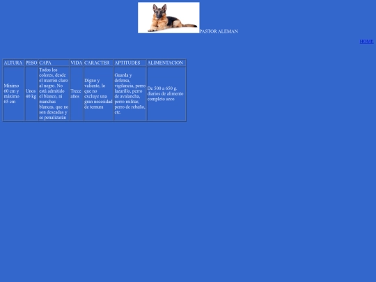 PASTOR ALEMAN screenshot