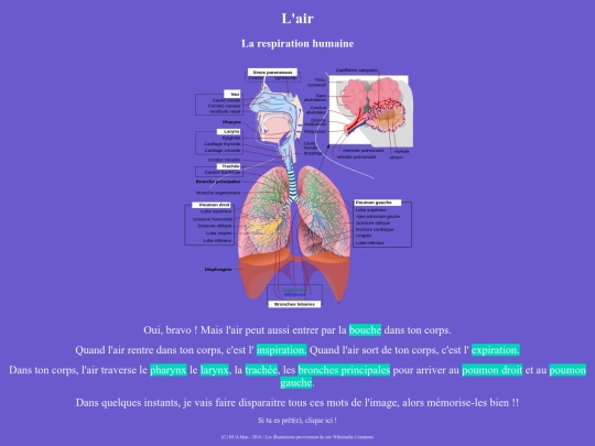 Respirationhumaine/respirationhumaineAAAAB00000 screenshot