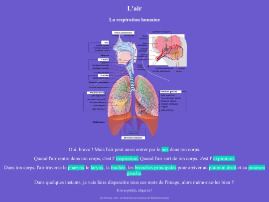Respirationhumaine/respirationhumaineAAAAC00000 screenshot
