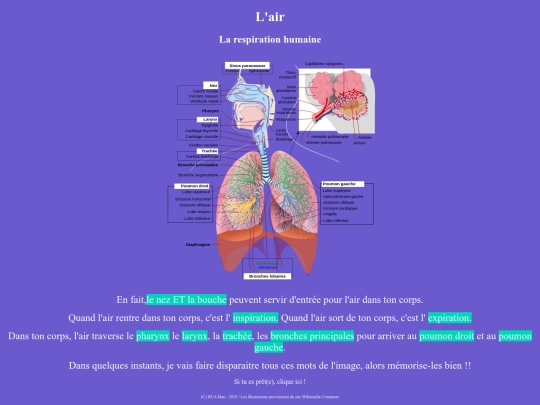 Respirationhumaine/respirationhumaineAAAAG00000 screenshot