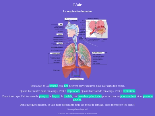 Respirationhumaine/respirationhumaineAAAAH00000 screenshot