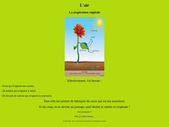 Respirationvegetale/espirationvegetale0000001 screenshot