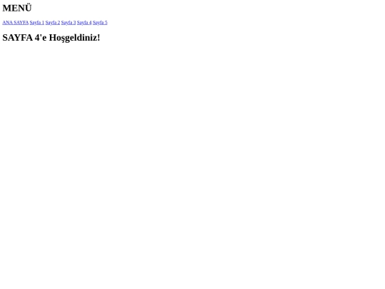 sayfa4 screenshot