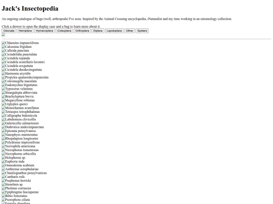 bug_project/bug_gallery screenshot
