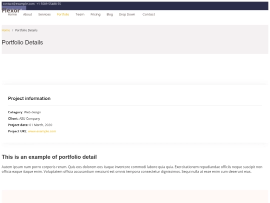 portfolio-details screenshot