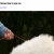 The web site of mulchzom avatar