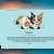 thecalicove.neocities.org avatar