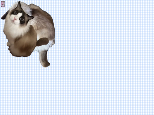 nate screenshot