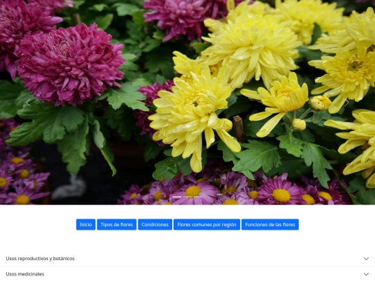 funcionesdelasflores screenshot