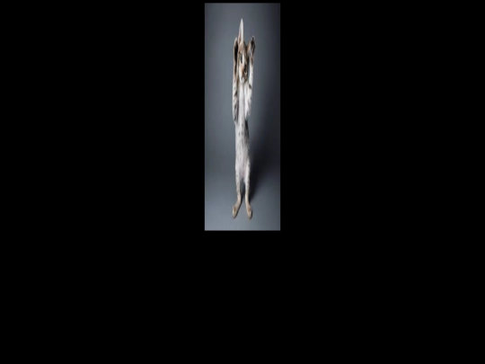 dancycat screenshot