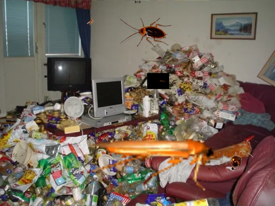 perplexcomplex/roach screenshot