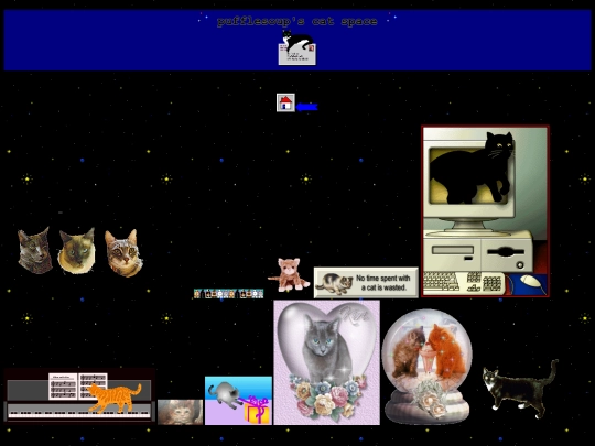 cats screenshot