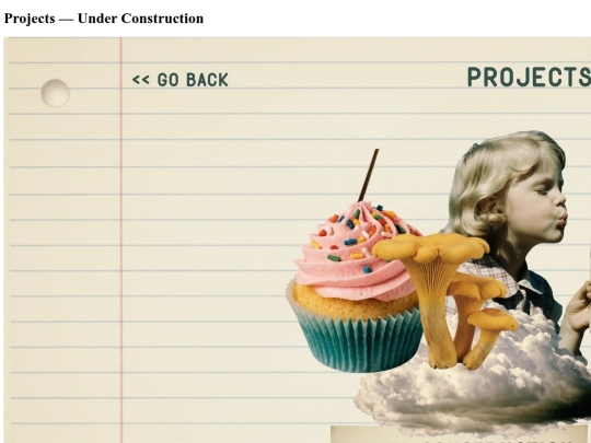 projects screenshot