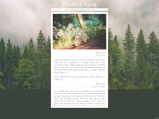 blog screenshot