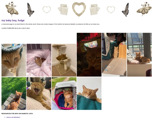 fudge screenshot