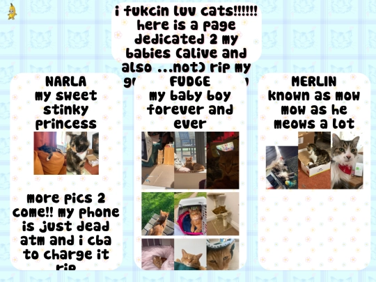 kitties screenshot