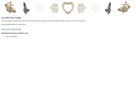 old site/oldfudge screenshot