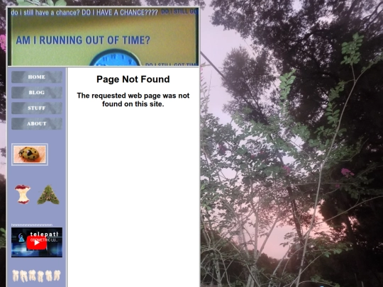 old site/oldindex screenshot