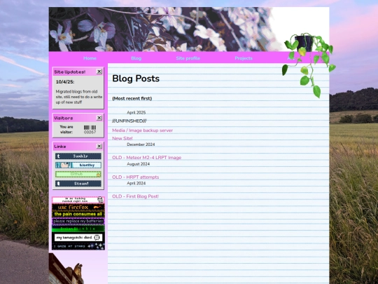 oldSite/blogDirectory screenshot