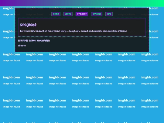 projects screenshot