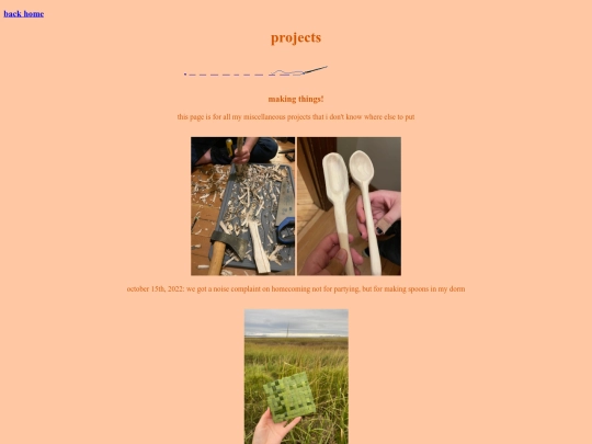 pages/projects screenshot