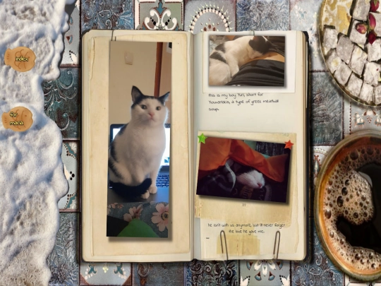 catposting screenshot